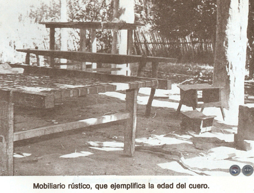 CULTURAS DE LA SELVA 1975/1979 - ENSAYO DE RAMIRO DOMÍNGUEZ